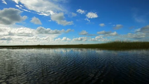Sky reflected in a grassy lake. Stock Footage 88405619