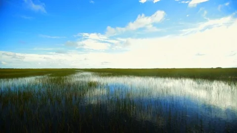 Sky reflected in a grassy lake. Stock Footage 88405653