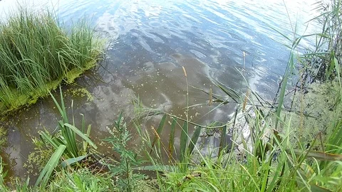 The sky is reflected from the lake. Stock Footage 93304742