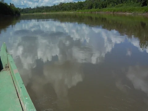 Sky Reflected in River in Amazon Jungle Rainforest Stock Footage 112946331