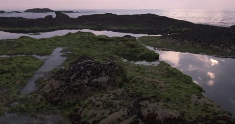 Sky reflected in rock pool with seaweed on beach at sunset. Stock Footage 131767752