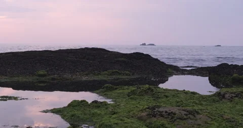 Sky reflected on rock pools between seaweed covered rocks on beach at dusk Video stock 131774690
