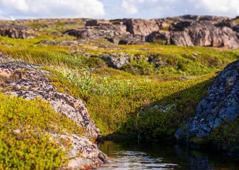 The sky is reflected in a small mountain puddle. The clear water is surrounde 스톡 사진