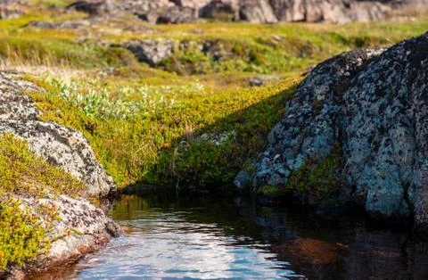 The sky is reflected in a small mountain puddle. The clear water is surrounde 스톡 사진