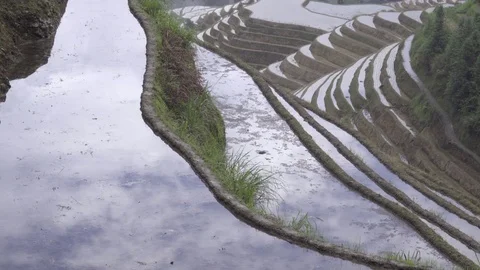 Sky reflected in water filled rice paddies Stock Footage 83725826