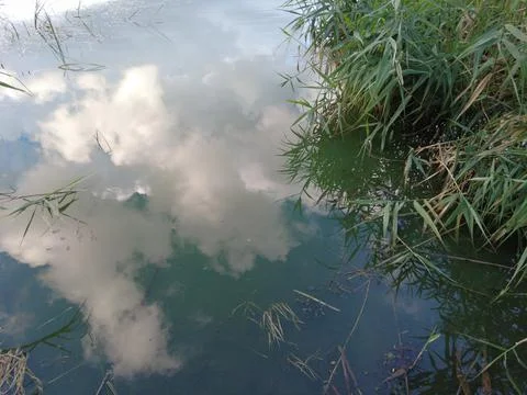 The sky is reflected in the water. reflection in water. clouds and water. 写真素材
