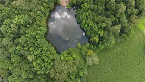 Sky reflecting in pond by drone Video stock 137619910