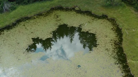 Sky reflecting on tiny green lake Nebeska Suza -Tear of Haven on Golija Stock Footage 147648905