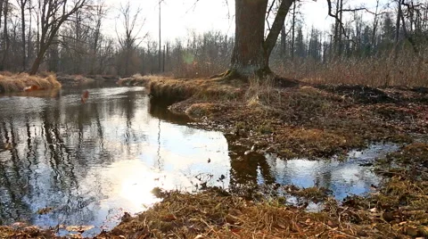 Sky reflecting in water during spring tide Stock Footage 56347369