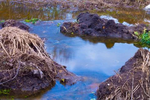 Sky reflection in a blue stream blurred by long exposure Stock Photos