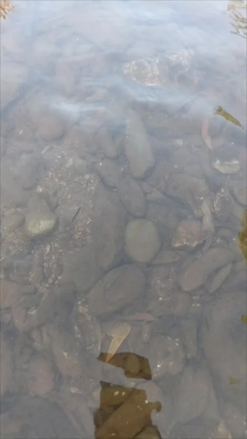 Sky Reflection on Calm and Clear Shallow Water Surface Stock Footage 338362114