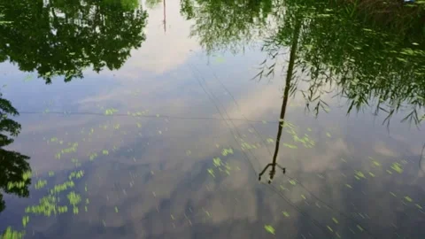 Sky Reflection on Calm Dal Lake Water from Moving Boat in Kashmir Stock Footage 336687737