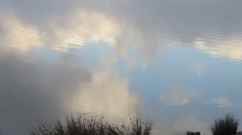 Sky reflection on a country pond Stockbeeldmateriaal 44682689