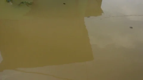 Sky Reflection On Flooded city Stock Footage 104486199