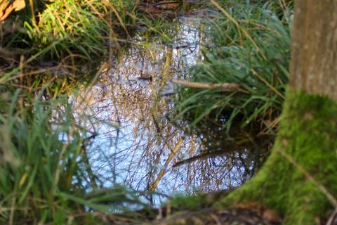 Sky reflection in puddle Stock Photos