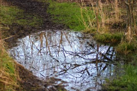 Sky reflection in puddle Stock Photos