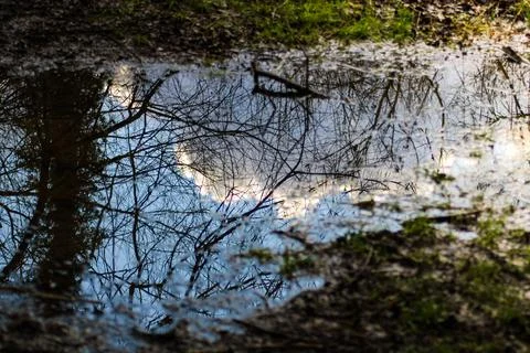 Sky reflection in puddle Stock Photos