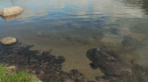 Sky reflection in shallow fresh water Stock Footage 52999345