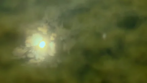 Sky reflection on the water surface 動画素材 254191957