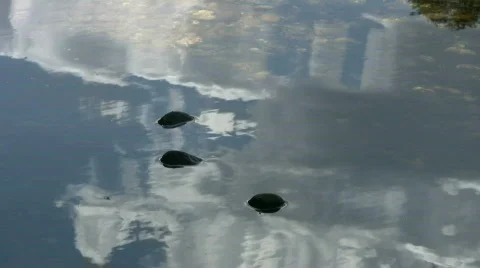 Sky in river Video stock 503596