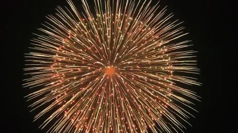 Sky rocket firework at dark night Stock-Footage 218283046