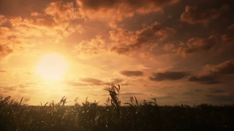 Sky scape time lapse and slow pan motion Stock Footage 8691016