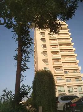 The sky scrapper building with a tree Stock Photos
