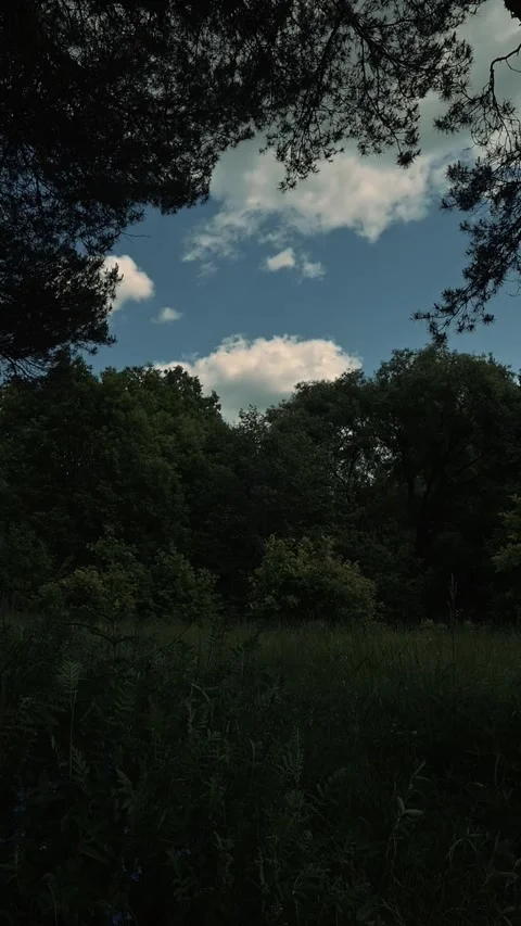 The sky shifts as clouds drift over the landscape filled with trees and grass. Vídeo Stock 344440363