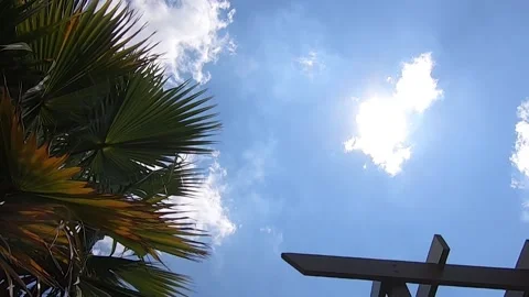 Sky shot, slow clouds, Palm moving in the breeze Stock Footage 143654958