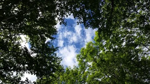 Sky Shroud Stock Photos