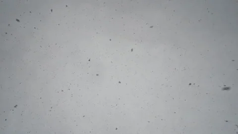 Sky snow fall. Stock Footage 292887231
