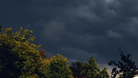 The sky before the storm and the trees in the sun Stock Footage 94997726