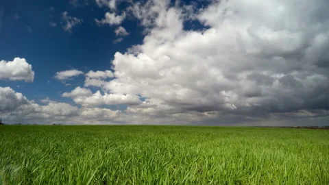 The sky before a storm. Stock Footage 171297353