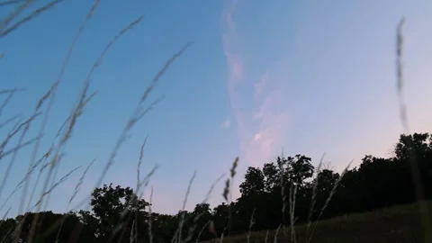 Sky at Summer Dawn with Grass Foreground Stock Footage 200299762