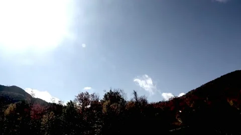 Sky, Sun, Forest Stock Footage 156521537