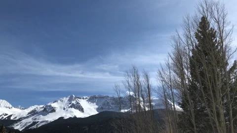 Sky Sun Snow Big Pine Tree Video stock 156940279