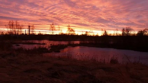 Sky at sunset in the spring in the Park Video stock 83999995