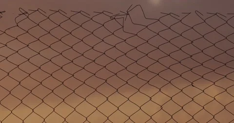 Sky through the grid at dawn Stock Footage 133719813