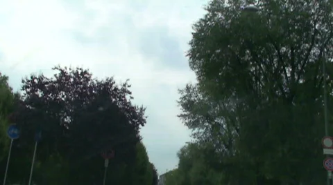 Sky through trees 動画素材 596815