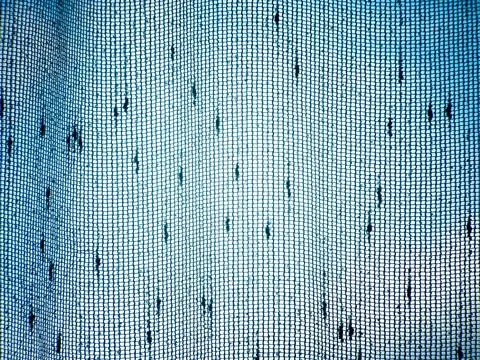 The sky through the tulle Foto stock