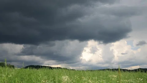 Sky with thunderclouds over a field of wildflowers in summer Video stock 243375872