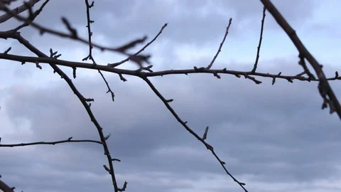 Sky Time lapse Stock Footage 99117918