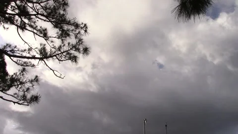 Sky Time-lapse with Pine Tree Stock Footage 154314617