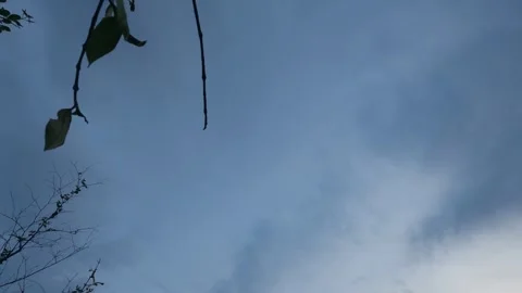 Sky Timelapse Stock Footage 243060918