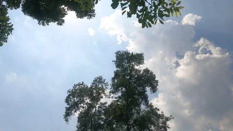 Sky Timelapse Stock Footage 243061004