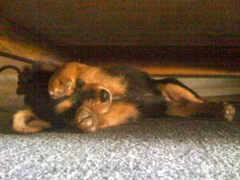 Sky Todey Foto stock