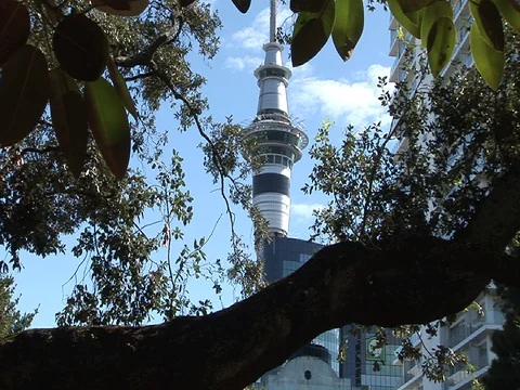 Sky Tower Auckland Stock Footage 93271395