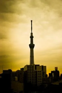 Sky tower in the evening Stock Photos