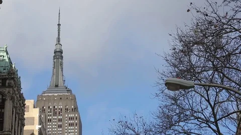 Sky, tower, tree, street light Video stock 76746967