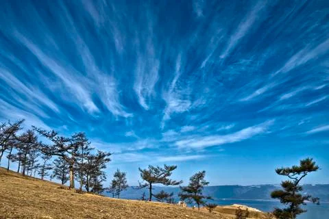 Sky with trailing clouds over the Cape with trees Stock Photos